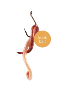 Small Dendrobeana/500 grams